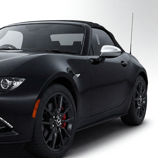 黒にシルバーのドアミラーカバー