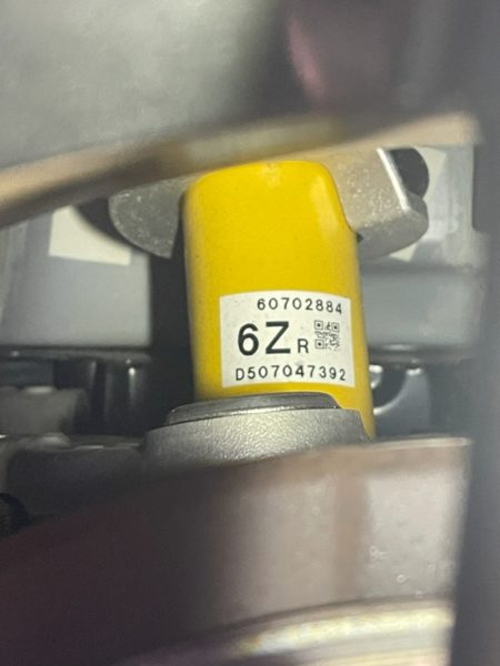 ビルシュタインショック